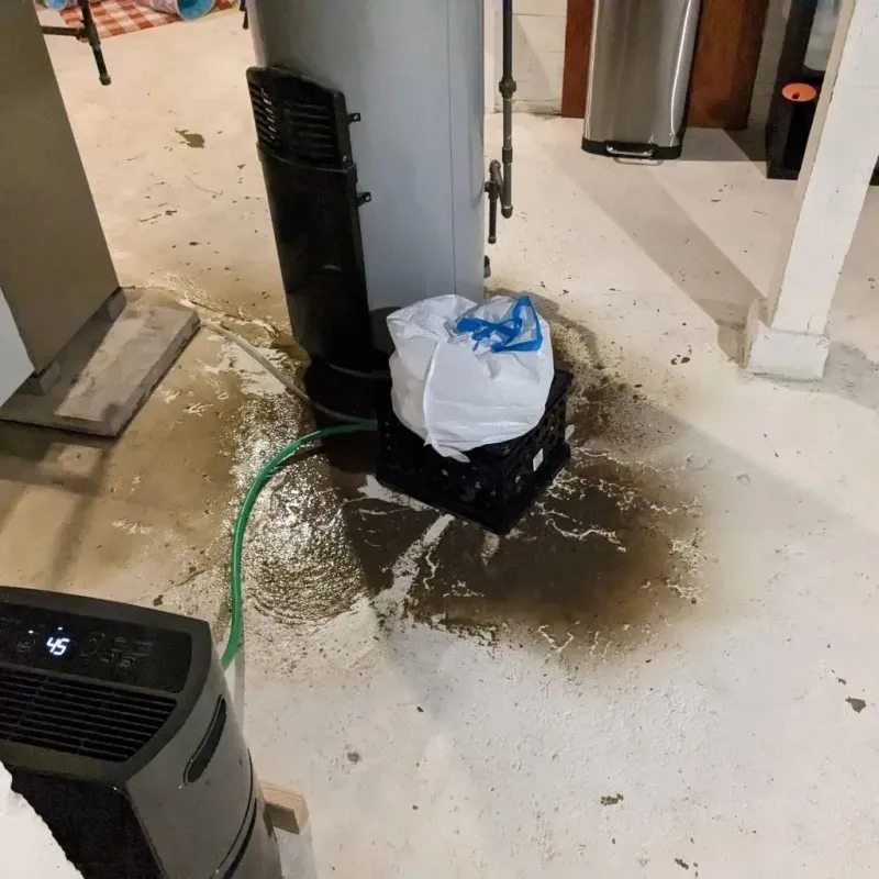 Sewage Backup Cleanup Service in Marlboro Meadows, MD